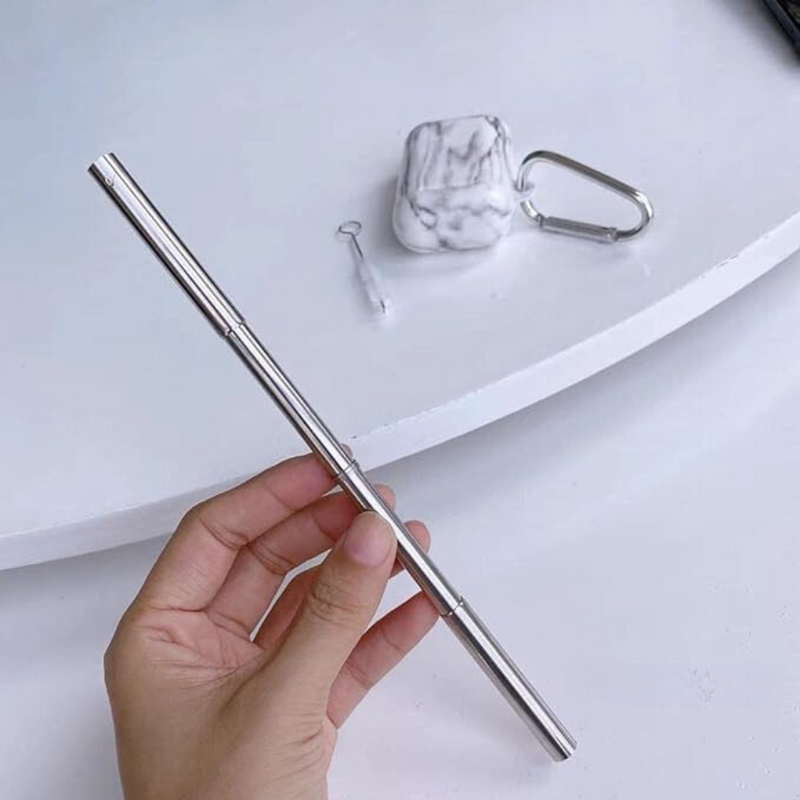 Stainless Steel Metal Straw With Cleaning Brush in Rust Proof Case