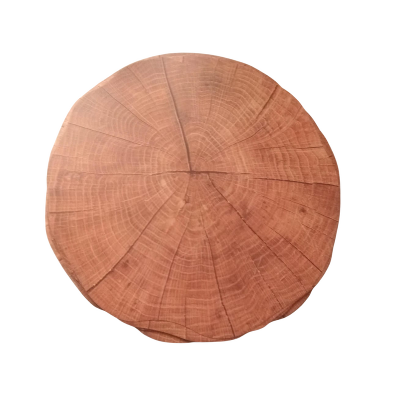 Rustic Tree Ring Design Heat-Resistant Placemat - Natural Look for Your Table Setting