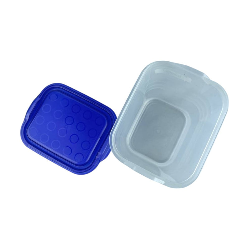 Lock & Lock Freezer Lock Airtight Food Storage Containers Set, Durable BPA-Free Plastic, 2 Sizes