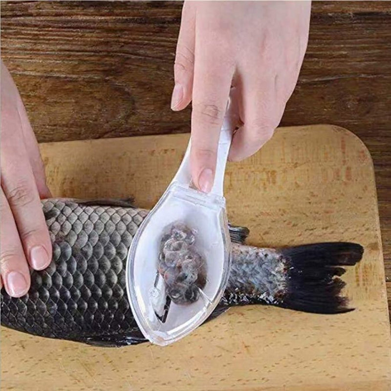 Fish Scaler, Fish Scaler Remover, Fish Scales Graters - Cupindy