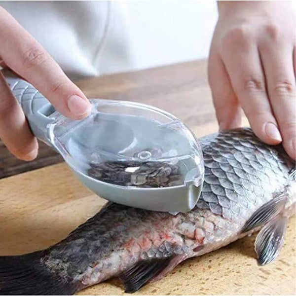 Fish Scaler, Fish Scaler Remover, Fish Scales Graters - Cupindy